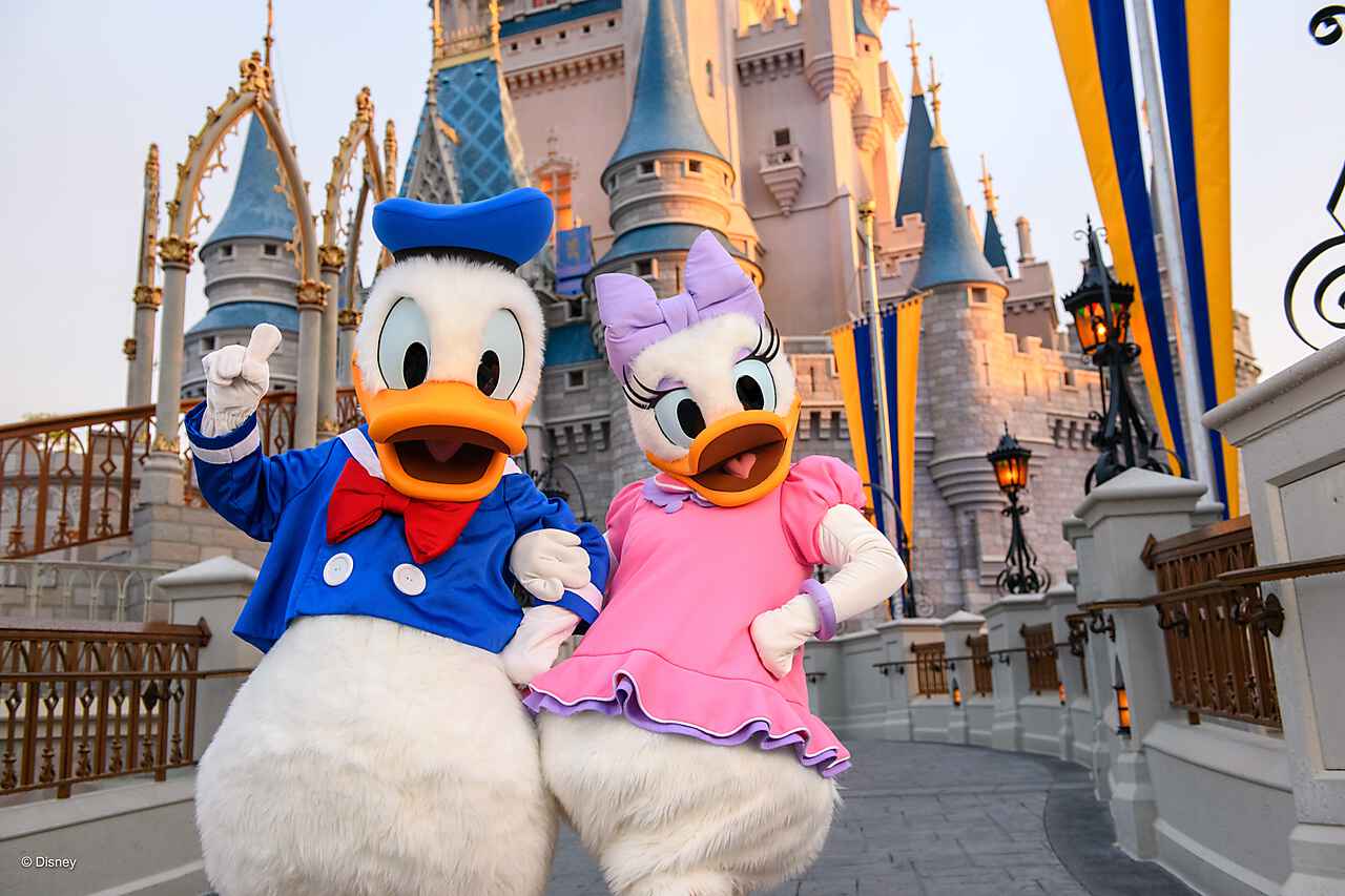 Foto da família Família Zanetti Dyer em Orlando